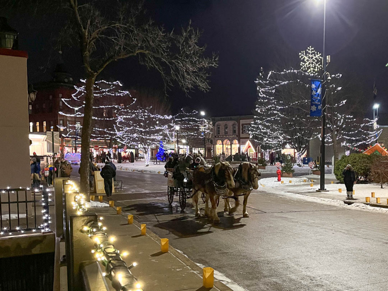 2022-Winter-Walk_2520-web