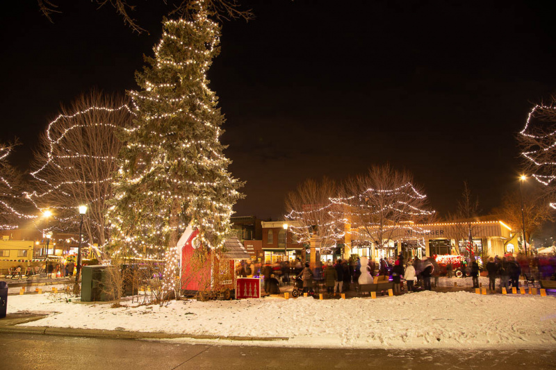 2022-Winter-Walk_6215-web