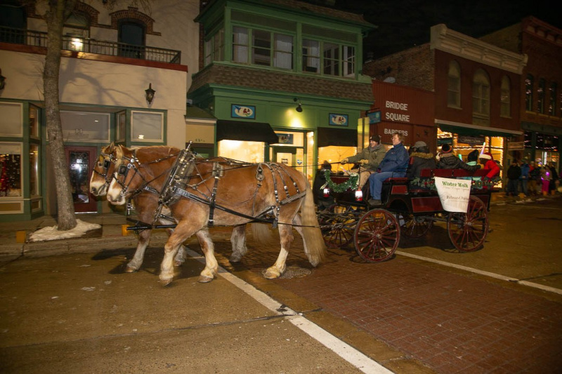 2022-Winter-Walk_6234-web