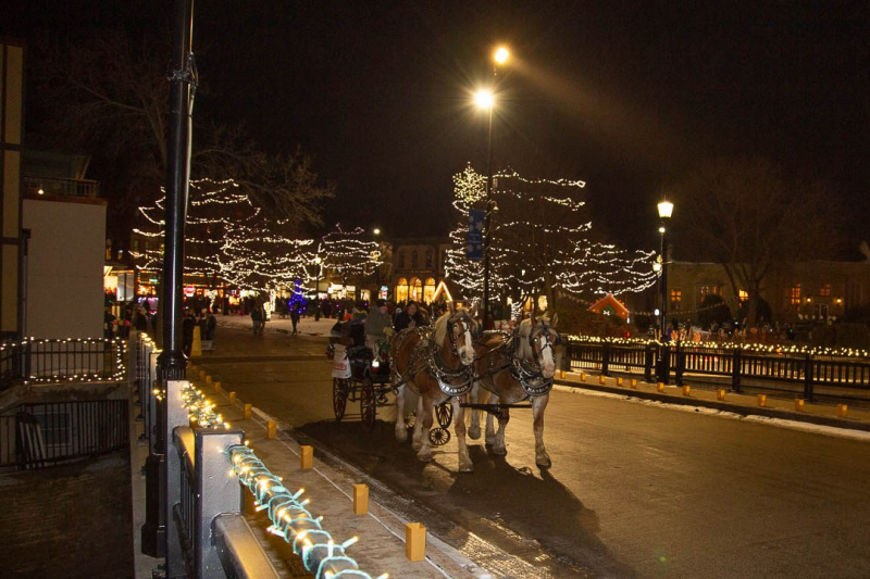 2022-Winter-Walk_6245-web