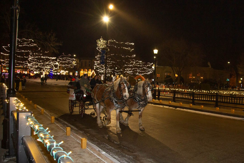2022-Winter-Walk_6247-web