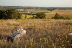 Up on the Mound