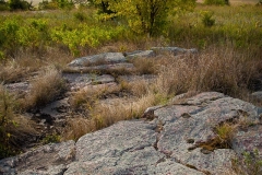 Quartzite and Fall Colors