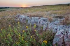 Quartzite and Goldenrod at Sunset