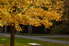 Fall Picnic Spot