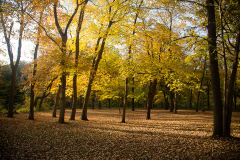 North Picnic Area
