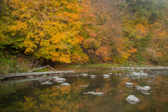 Colors Near the River