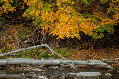 Colors by the River 2