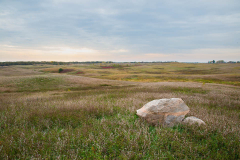 Morning on the Prairie