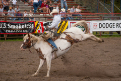 DJJD Rodeo