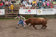 Rodeo clown