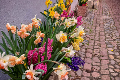 France_4597