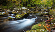 Quiet Flow on Little River