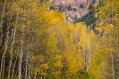 Biking down Maroon Creek Road