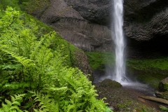 Latourell Falls and Ferns