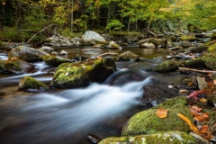 Quiet Flow on Little River