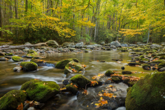 Smoky\'s Little River in Fall
