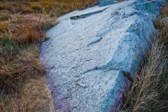 Quartzite and Sunrise