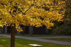 Fall Picnic Spot