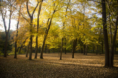 North Picnic Area