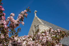 BoeChapel_0145