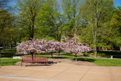 BoeChapel_0188