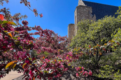 BoeChapel_3124