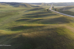 DJI_0469