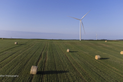 DJI_0564