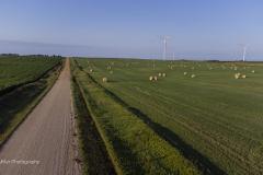 DJI_0570
