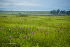 IMG_7740-Edit