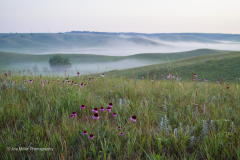 MG_0727
