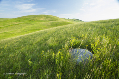 MG_5137