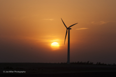 Wind-Turbine_6796