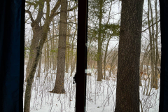 Out the window