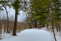 Skiers near the cabin