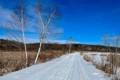 Wetland Trail and Blue Sky