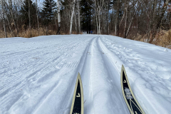 Ski Tips
