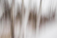 Strokes of Trees, Highkey